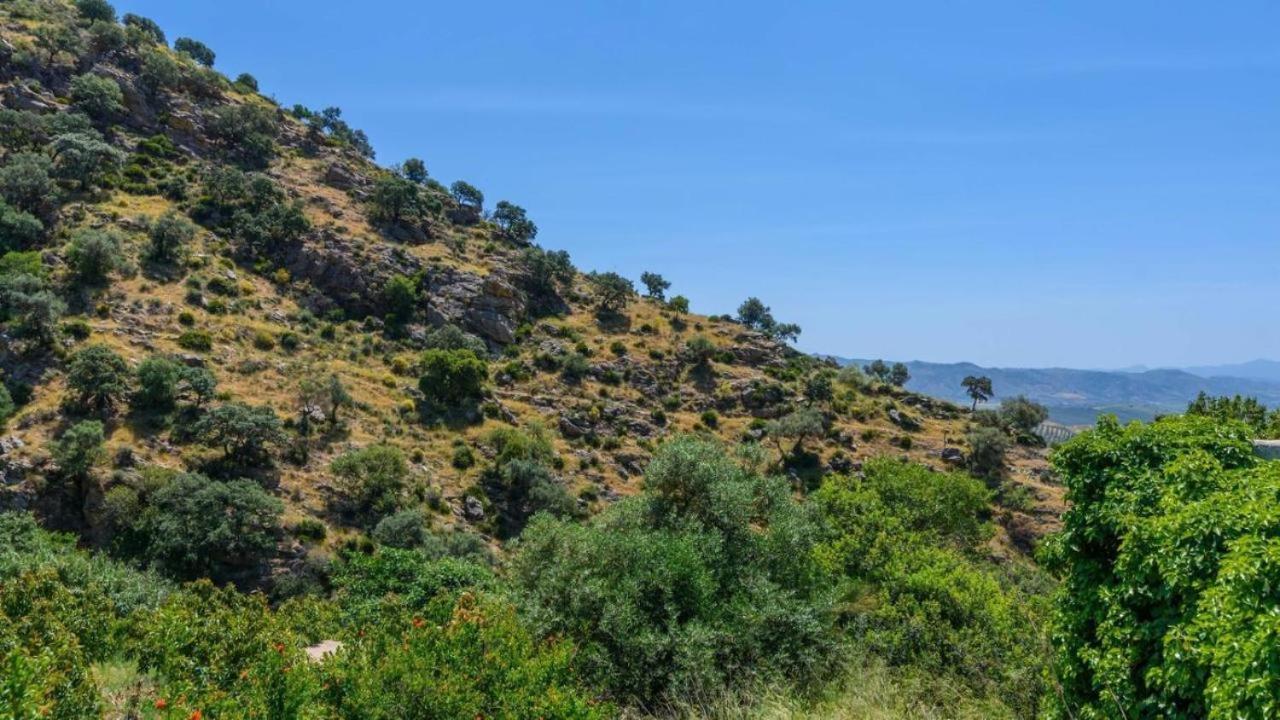 אל צ'ורו Casa Rural La Teja מראה חיצוני תמונה